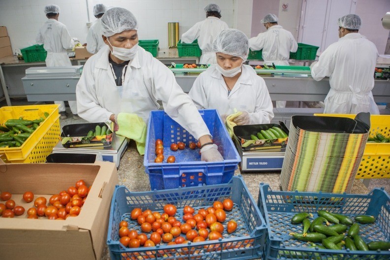 Nova pravila za strane radnike - koliko žele da rade u Hrvatskoj, podležu jednom uslovu