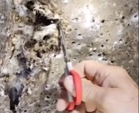 HOROR ISPOD ZEMLJE: Ušli u pećinu na Balkanu i zatekli prizor koji LEDI KRV U ŽILAMA - ljudi ne mogu da gledaju!