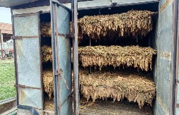 ZAPLENA U ŠAPCU Pronađeno 1.180 kilograma duvana u listu