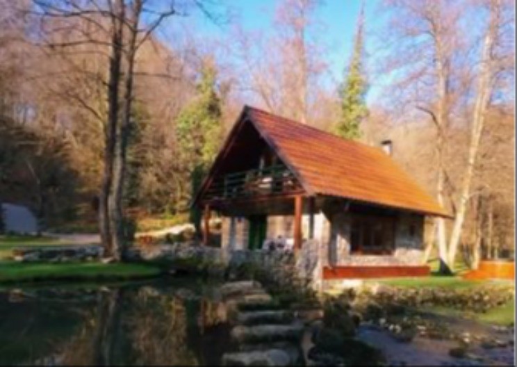 NUDILI MU TRI HOTELA U DUBAIJU ZA OVU KUĆICU U ŠUMI Nikola je samo rekao „ne“: Kad vidite gde živi, biće vam jasno zašto