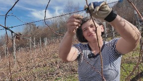 BAŠTA NE ČEKA MART Baka Rada kaže ko sad ne zasuče rukave, ostaće bez cveta i roda