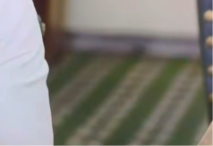 BRITANSKI PARLAMENT PREPLAVLJEN PACOVIMA: Gledajte kako trčkaraju (VIDEO)