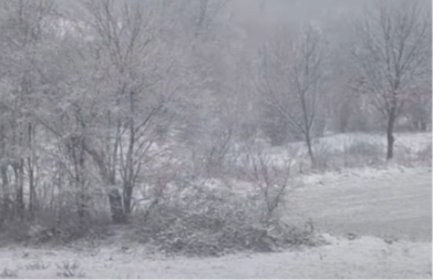 OVI DELOVI SRBIJE VEĆ ZAVEJANI! Sneg ih okovao (VIDEO)