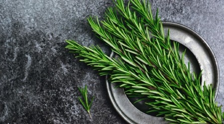 IZNENADIĆETE SE Evo zašto ovog proleća treba da postavite grančicu ruzmarina na prozorsku dasku