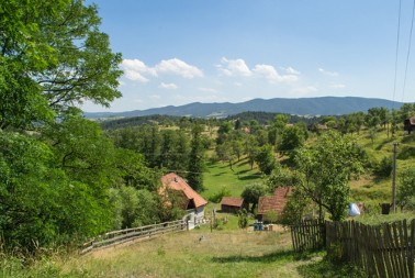 PROROČANSTVA TARABIĆA PONOVO U CENTRU PAŽNJE Da li se njihove vizije ostvaruju upravo sada?