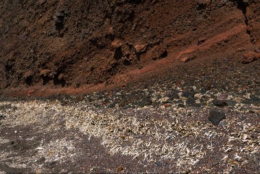 CEO SVET JE U PANICI ZBOG OVOGA Pojavile su se ogromne pukotine u zemlji, prete klizišta i strašne poplave