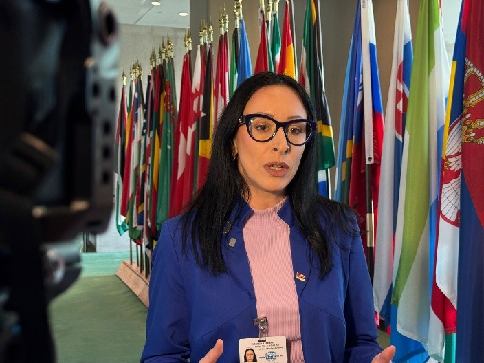 Žarić Kovačević u UN o podršci porodicama i demografskoj politici Srbije