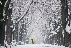BABA MARTA SE BUDI, STIGLA NOVA PROGNOZA Pad temperature, kiša i SNEG