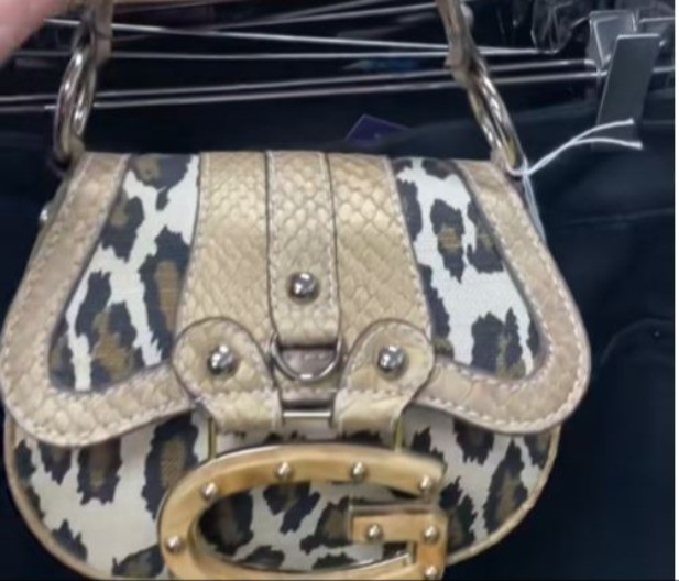 Kupila torbicu za 300 dinara u sekend hendu, pa proverila na internetu i ostala u šoku: Vredi pravo bogatstvo