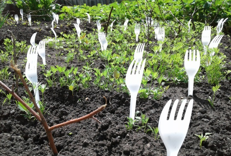 Ovih dana svi zabadaju viljuške u baštu: Tako reše problem koji mnogi imaju