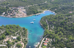 HRVATI PRODALI ŠUMU RUSA UZ LAŽNI SRPSKI PASOŠ Neverovatan slučaj na Jadranskom primorju!
