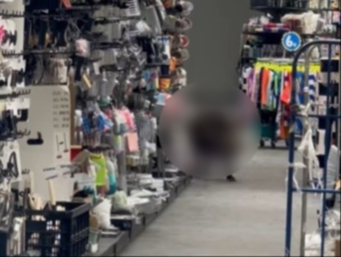 NEVEROVATNA SCENA U TRŽNOM CENTRU Divlja zver zalutala među ljude - posetioci u STRAHU! (VIDEO)