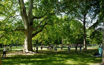 Država izdvojila 300 miliona dinara za navedenu namenu - evo ko može da se javi na konkurs 