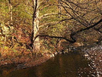 Jedna od najčistijih reka Evrope krije se u Srbiji: Čudo prirode koje morate da vidite uživo