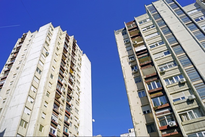 SRPKINJE IZNAJMILE STAN, PA DOŽIVELE ŠOK Po njima gmizala gomila insekata, jedan ih čak i ujeo! (FOTO)