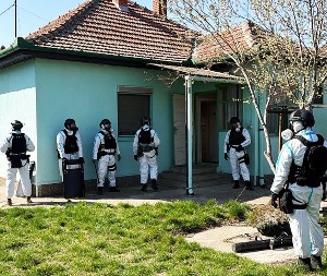 POLICIJA UPALA U NARKO LABORATORIJU! Pronađeno 180 stabljika kanabisa i 12 kilograma marihuane, dvojica uhapšena