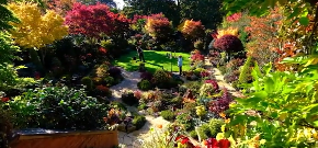 LJUDI IZ CELOG SVETA DOLAZE DA VIDE OVU BAŠTU Bračni par je razvija i neguje preko 40 godina - evo gde se nalazi