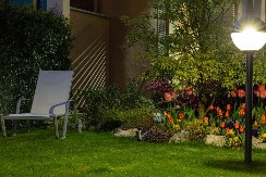 Posejte ovu biljku prvog dana proleća: Ako raste kao korov, sreća će biti na vašoj strani, a ima i jedan uslov