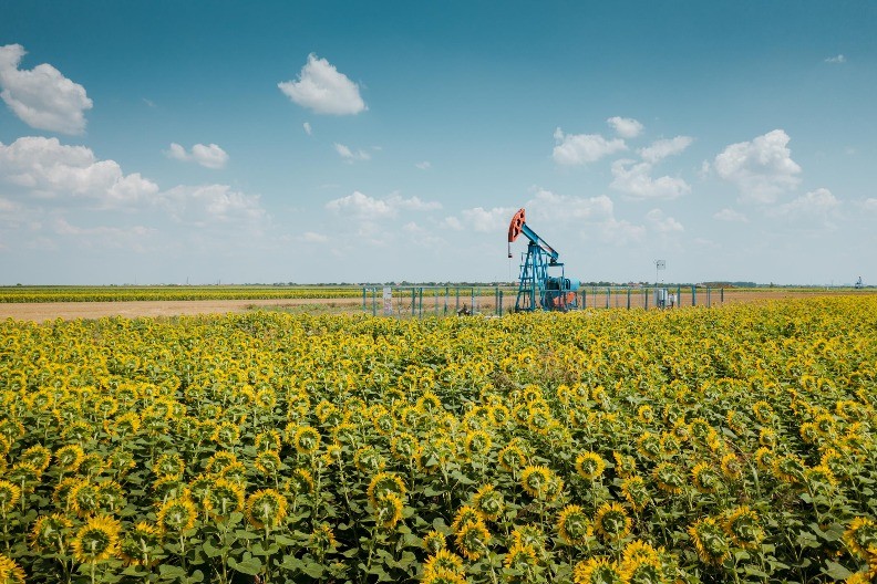 Naftaši i zelena agenda - Kako kompanije i zajednica zajedno doprinose zaštiti životne sredine