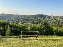 Povratak na proplanke ove srpske planine nakon 100 godina: Jelenska divljač ponovo na Rudniku