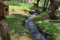 U ovom biseru Srbije smeštaj već od 700 dinara! Priroda ostavlja bez daha