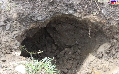 SRBI UZNEMIRENI, ISPLIVALI SNIMCI PREKOPANIH GROBOVA Upadaju noću i sve urade za par minuta