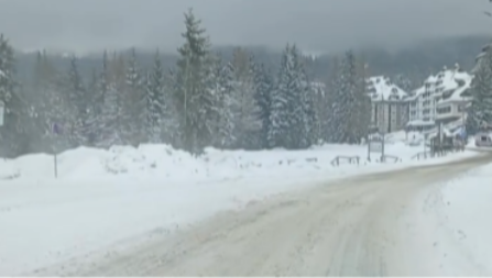 SRPSKE PLANINE ZAVEJANE, SAOBRAĆAJ OTEŽAN! Na ovom putnom pravcu drvo preseklo put (VIDEO) 