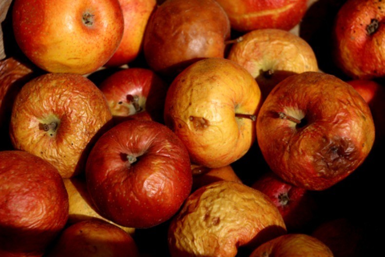 Izgledaju loše, a zapravo su zlato: Stare jabuke mogu pomoći srcu i probavi više nego sveže