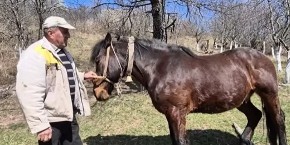 POSLEDNJI ČOVEK U SELU! Zufer iz Kamenice ostao potpuno sam – njegova priča tera suze na oči! (VIDEO)