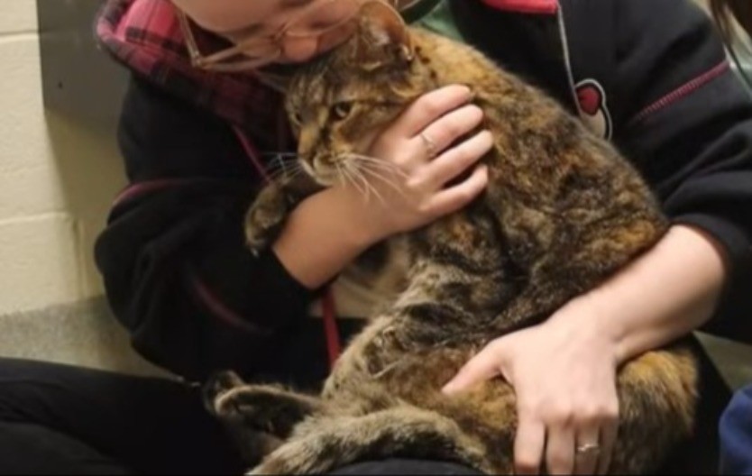 NESTALA PRE PET GODINA, SADA PONOVO KOD KUĆE Porodica u šoku i suzama zbog čudesnog povratka ljubimice! (VIDEO)