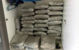 PAO NARKO DVOJAC IZ PRIBOJA U Beogradu zaplenjeno 77 kg marihuane i heroin