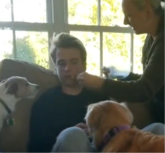 MLADIĆ OŠAMUĆEN OD ANESTEZIJE NIJE PREPOZNAO SOPSTVENE PSE Hit snimak nasmejao internet