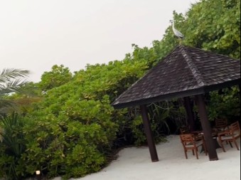 PREKO POLA PLANETE SE VRAĆAJU KUĆI Pevač sa porodicom dolazi u Srbiju nakon što je danima bio zarobljen 