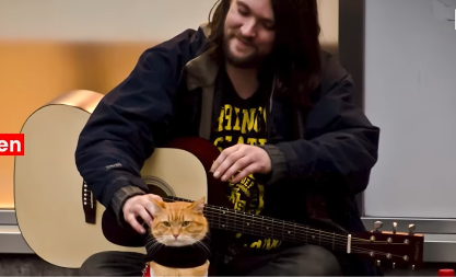 OD ULIČNOG SVIRAČA DO MILIONERA Poslednjih 20 evra je potrošio da spasi napuštenog mačka - zbog njega je ubrzo stekao pravo bogatstvo (VIDEO)