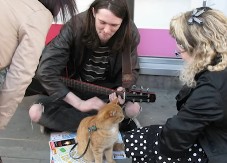 ŠOKANTNO I DIRLJIVO! Ulični mačak Bob spasio život bivšem zavisniku – priča koja je inspirisala milione! (VIDEO)