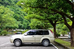 KESICA PRAŠKA ZA PECIVO U KOLIMA JE ZLATA VREDNA Rešava veliki problem - evo kako