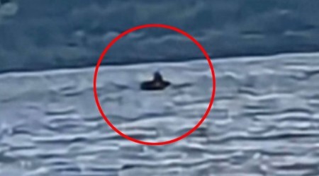 AU, ŠTA JE OVO, MAJKO MILA? Stvorenje izašlo iz vode - simak iz jezera ZAPREPASTIO SVET! 