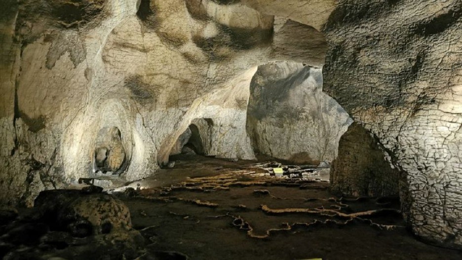 LEGLO OTROVA I "LETEĆE" ZMIJE! Otkrivene nove vrste u pećinama, objavljene prve slike! (FOTO)