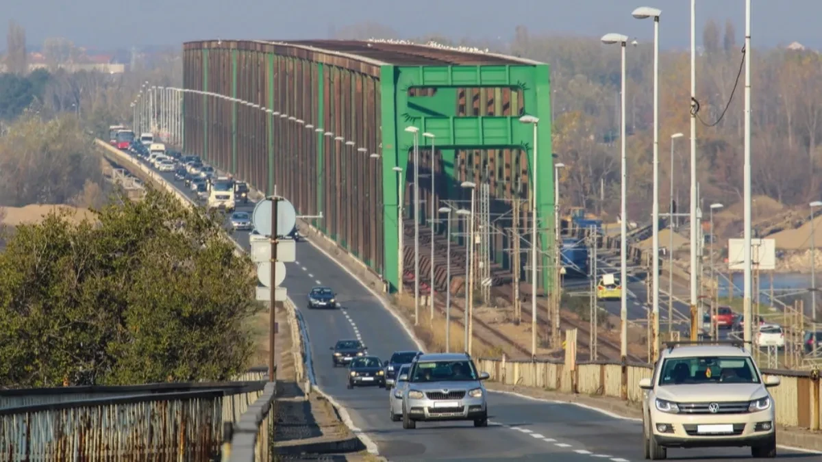 SKOČIO SA PANČEVAČKOG MOSTA, SPASEN U POSLEDNJI ČAS Renato ga izvukao iz ledenog Dunava