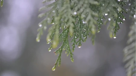 METEOROLOZI KRIJU PRAVI UDAR?! Uskrs pod hladnim talasom – a onda šok koji niko ne pominje!