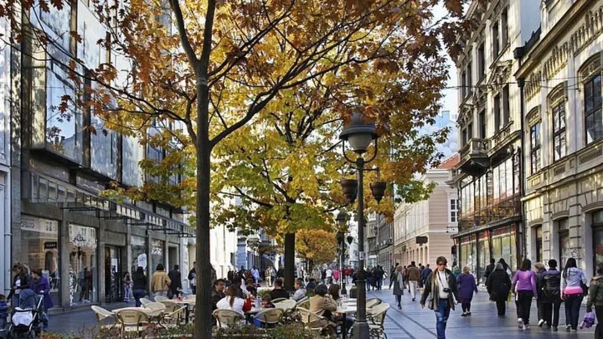 BEOGRAD POD OPSADOM POLENA! Ljudi na ulici plaču, kijaju i jedva dišu!