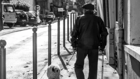 SVI SU U SUZAMA! Čovek svakodnevno VOZI bolesnog psa do livade – ono što su Balkanci uradili dirnulo je MILIONE! (FOTO)