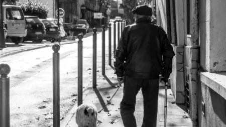SVI SU U SUZAMA! Čovek svakodnevno VOZI bolesnog psa do livade – ono što su Balkanci uradili dirnulo je MILIONE! (FOTO)