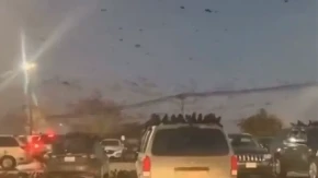 „OVO JE LOŠ ZNAK ZA CEO SVET!“ Dramatični snimci iz Izraela lede krv u žilama (VIDEO)