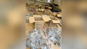 ŠOK NA GRANIČNOM PRELAZU ŠID Pokušao da uđe u Srbiju sa 94 paketa puna droge! Ovo su detalji slučaja (FOTO+VIDEO)