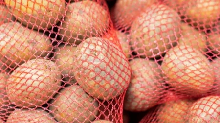 SVE VREME STE JE BACALI Ova mrežica iz kuhinje vredi ZLATA – trik koji menja sve!