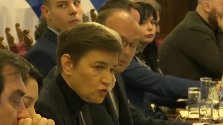 POČELA HITNA SEDNICA ODBORA ZA OBRAZOVANJE Predsedava Ana Brnabić