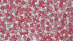 CVETNI HAOS KOJI JE ZALUDEO INTERNET Samo 3% ljudi može da pronađe pet zvezdica - proverite da li ste među njima!