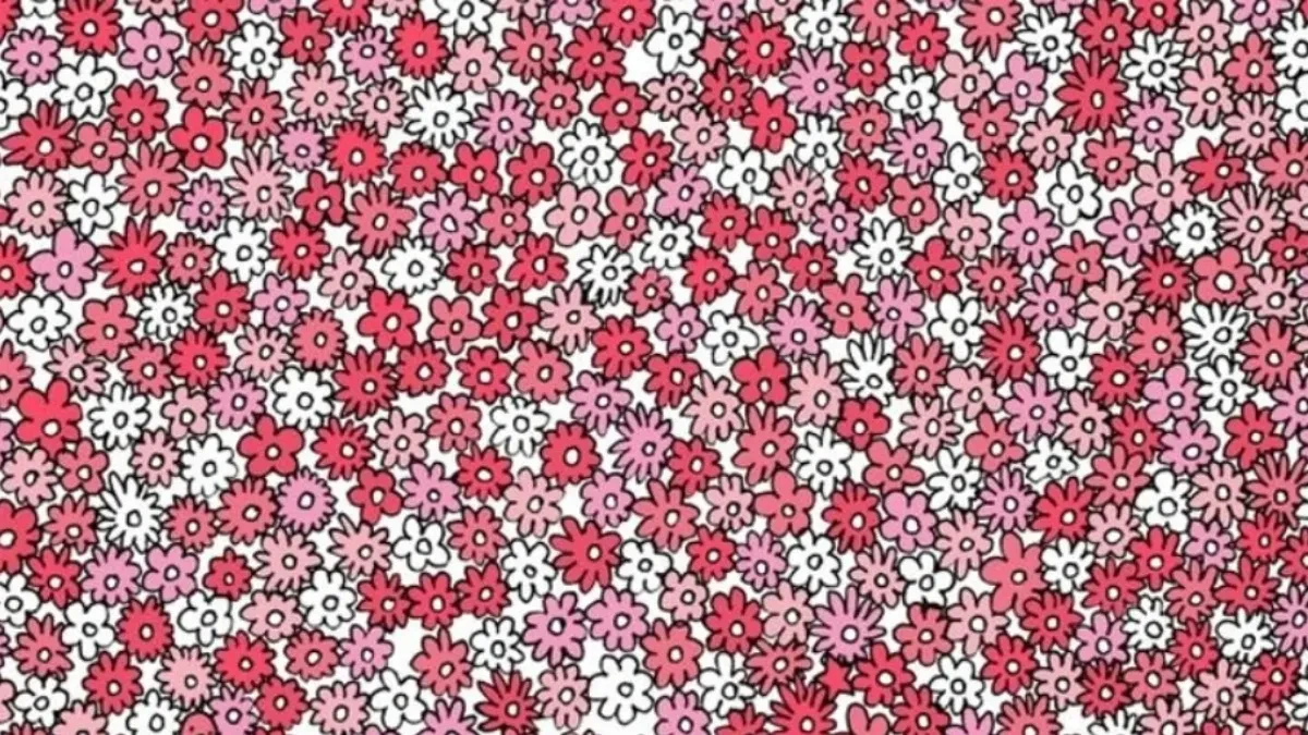 CVETNI HAOS KOJI JE ZALUDEO INTERNET Samo 3% ljudi može da pronađe pet zvezdica - proverite da li ste među njima!