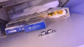 NEVEROVATNO OTKRIĆE NA 10.000 METARA Putnica otvorila pregradu – unutra je bilo OVO!